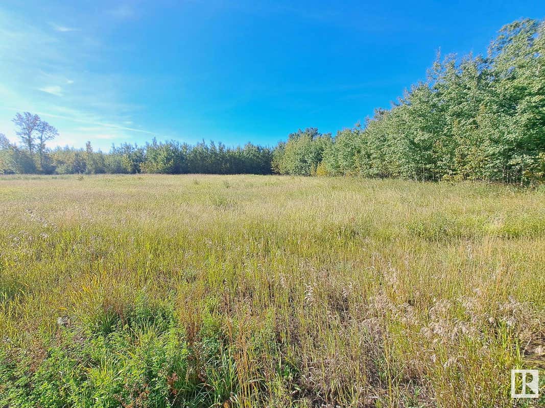 TWP RD 584 RR233, Rural Thorhild County, AB T0A 3J0 Commercial Real Estate For Sale RE/MAX