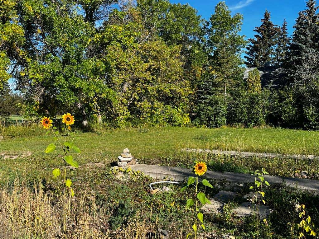 4723 49 Street, Mannville, AB T0B 0H1 House For Sale RE/MAX A2166381