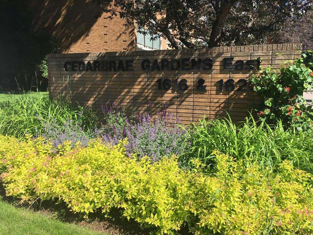 Orchard Place Windows