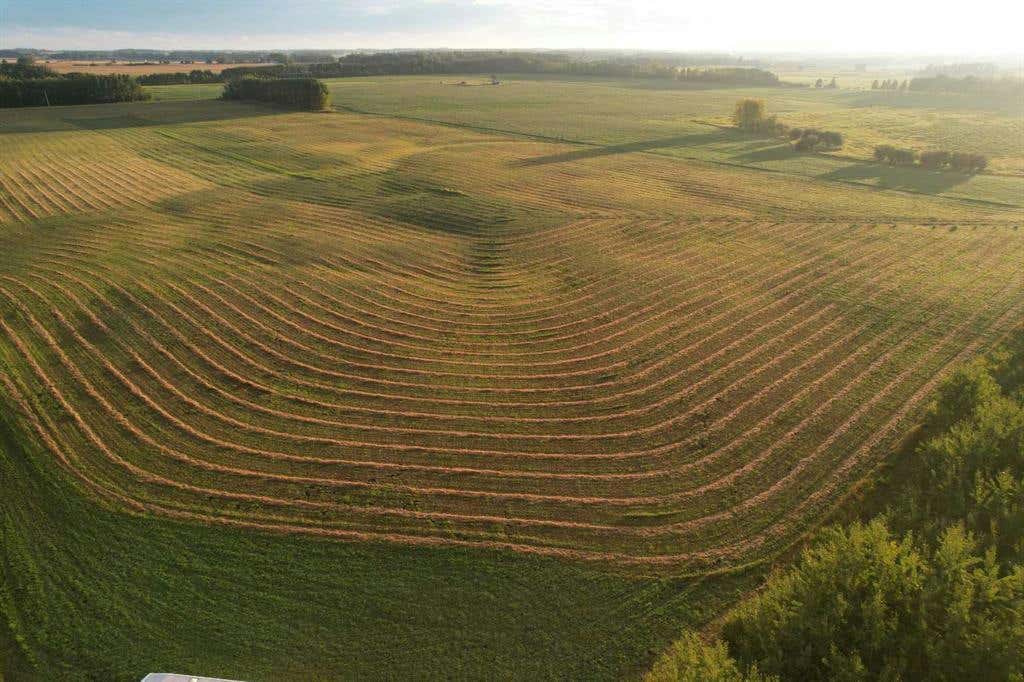 ON Wall Street Road, Condor, AB T0M 0P0 House For Sale RE/MAX A2166151