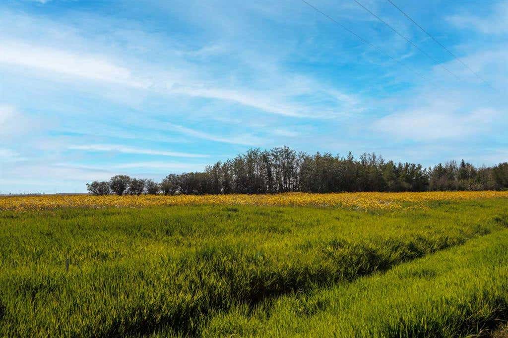 RGE RD 292, Rural Rocky View County, AB T0M 0S0 House For Sale | RE/MAX ...