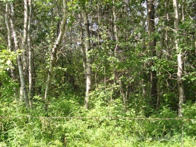 Parcel D MARIE HANSON RD