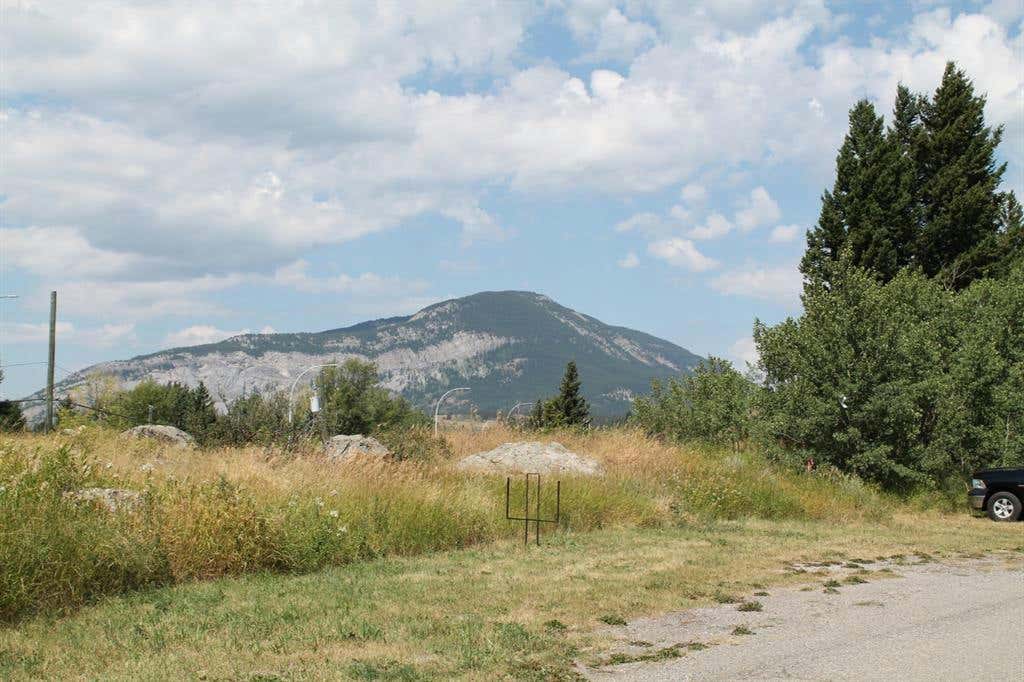 21405 27 Avenue, Crowsnest Pass, AB T0K 0C0 House For Sale RE/MAX