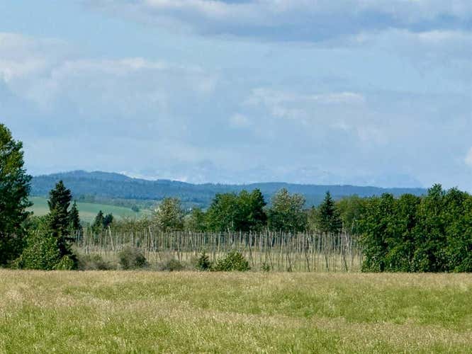 RR40 south of Twp Rd 293