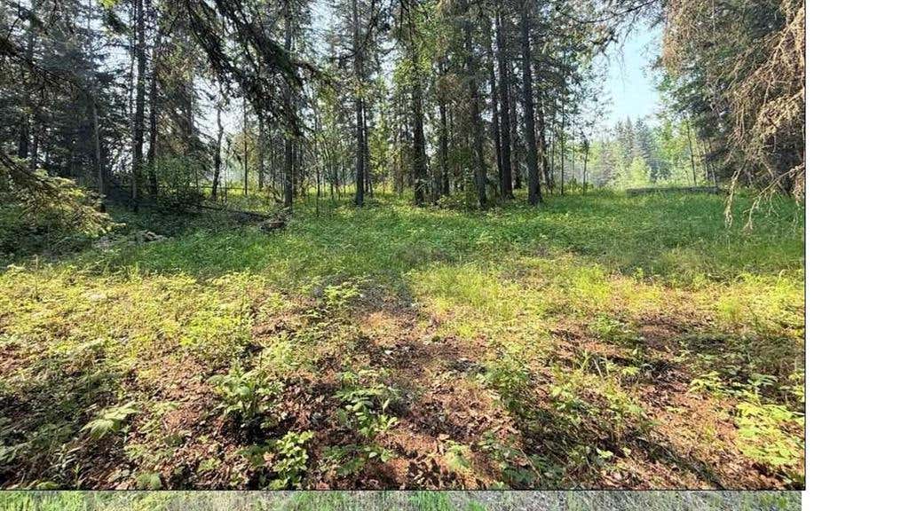 221054 670 Township