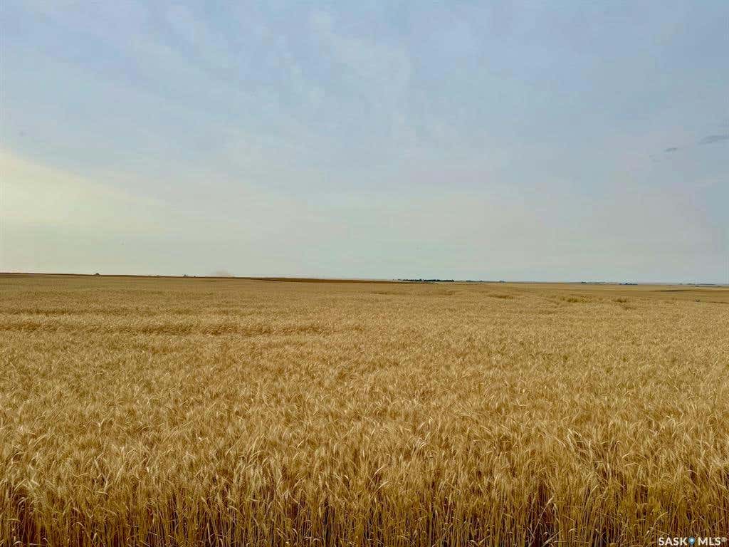 Rural Address, Craik Rm No. 222, SK S0G 0A3 Commercial Real Estate For