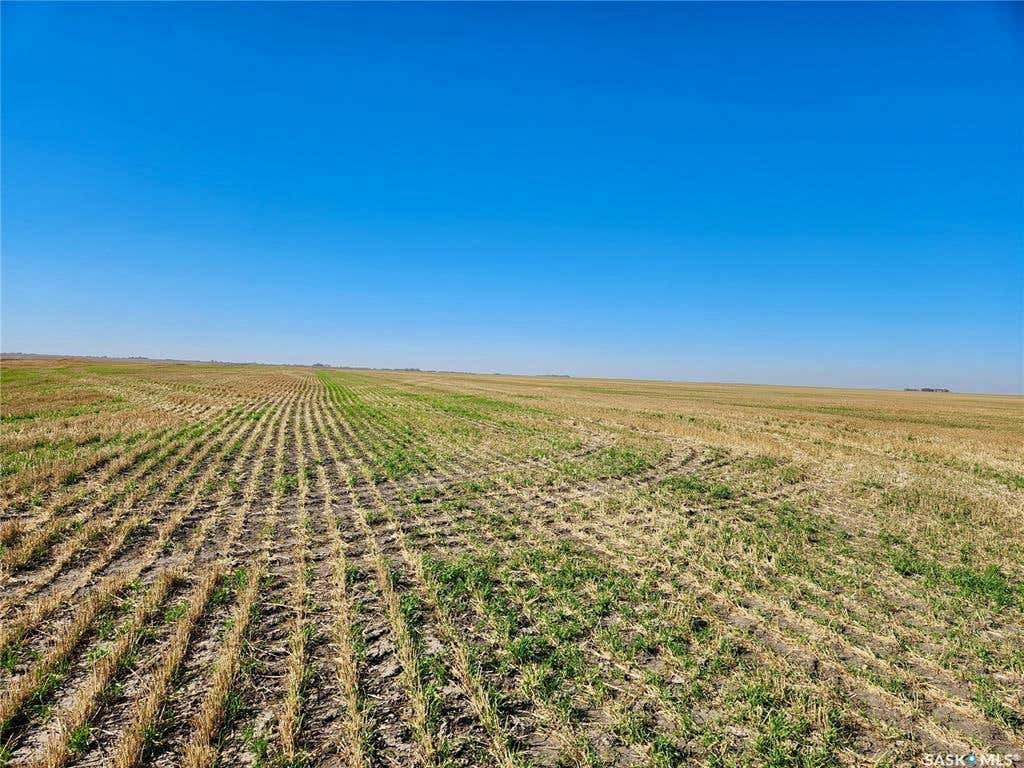 Rural Address, Griffin Rm No. 66, SK S0G 0G4 Commercial Real Estate For