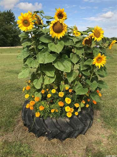 Lot 203 Block 5 Rural Address