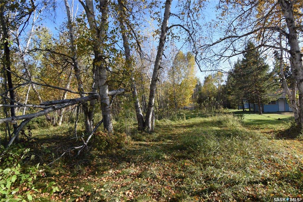 271 Southshore DRIVE, Emma Lake, SK S0J 0N0 Land For Sale | RE/MAX ...
