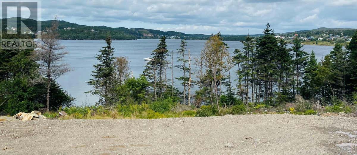 273 Main Road, Lewins Cove, NL A0E2G0 Land For Sale RE/MAX 1277569