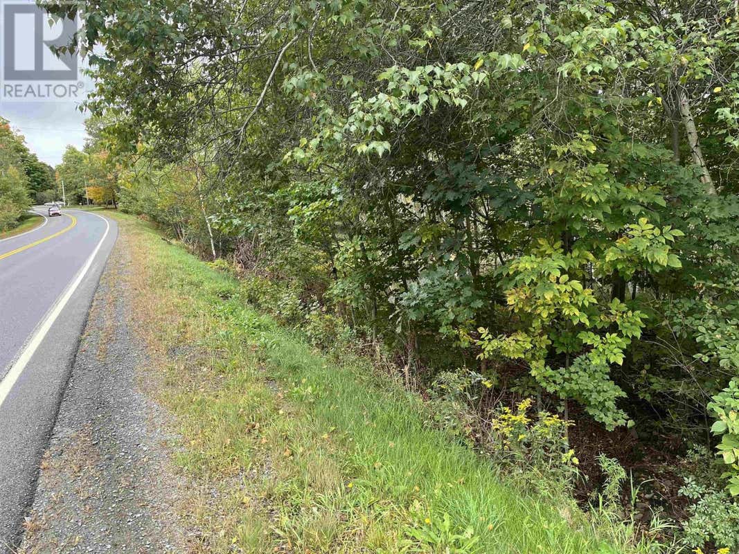 10 Highway, Cookville, NS B4V7R3 Land For Sale RE/MAX 202423645