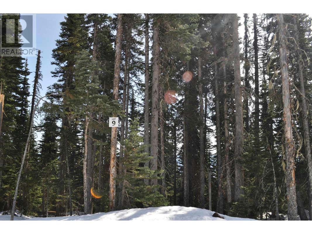 PR. ST LOT 9 ALPINE WAY, Smithers, BC V0J2N0 Land For Sale RE/MAX