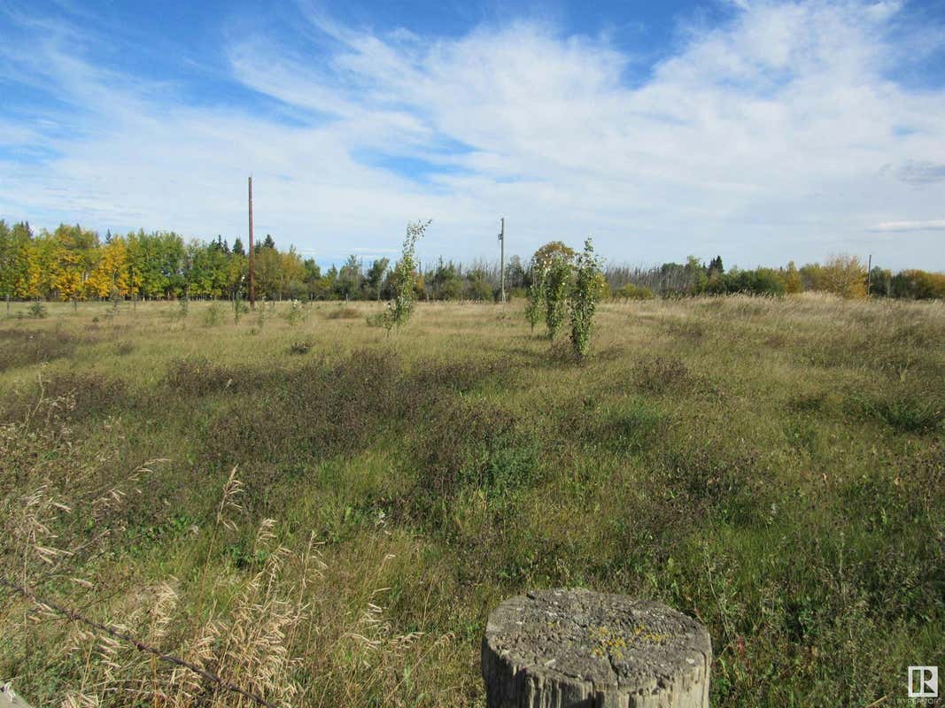 RR 50 Twp 600, Rural Barrhead County, AB T7N1N2 Land For Sale RE/MAX