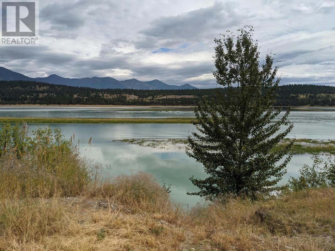 6324 LAURIER AVENUE Unit 3, Wardner, BC V0B2J0 Land For Sale RE/MAX