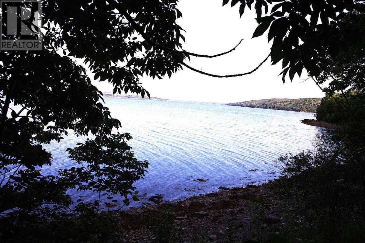 Main Street, Mulgrave, NS B0E2G0 Land For Sale RE/MAX 202425030