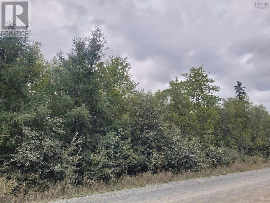 Lot 1 Blois Road, Macphees Corner, NS B2S1A2 Land For Sale RE/MAX