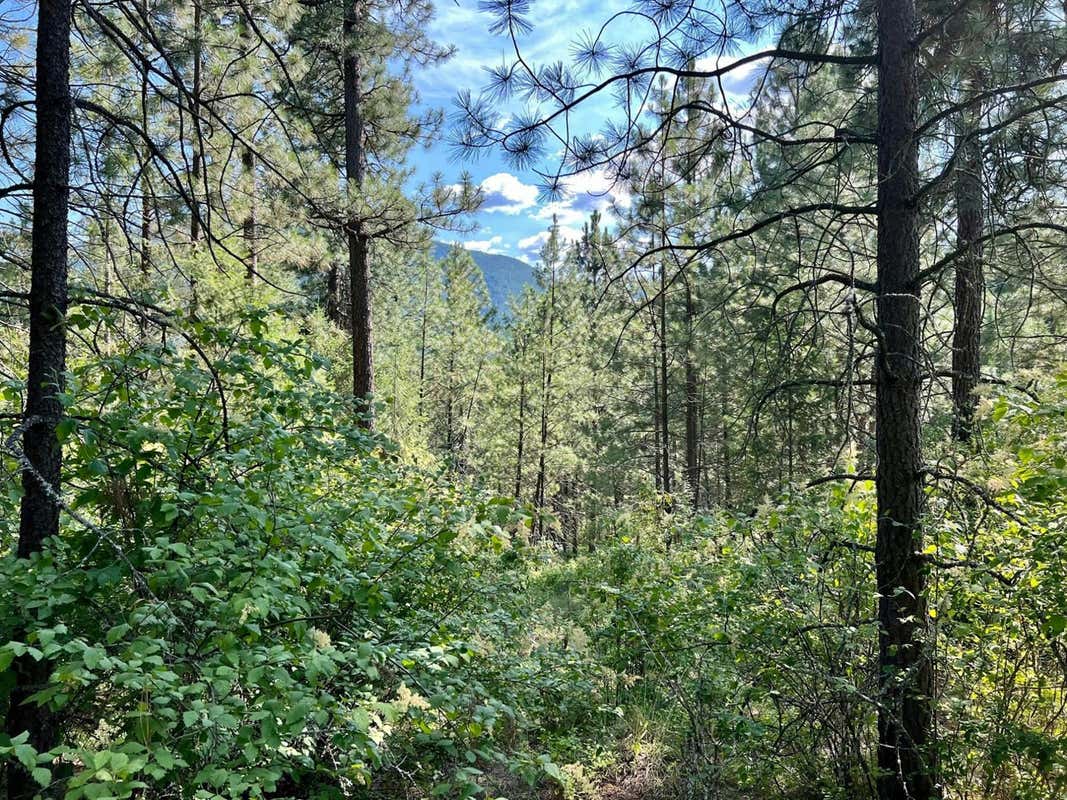 Lot 11 EVANS RD, Creston, BC V0B1G7 Land For Sale RE/MAX 2480120