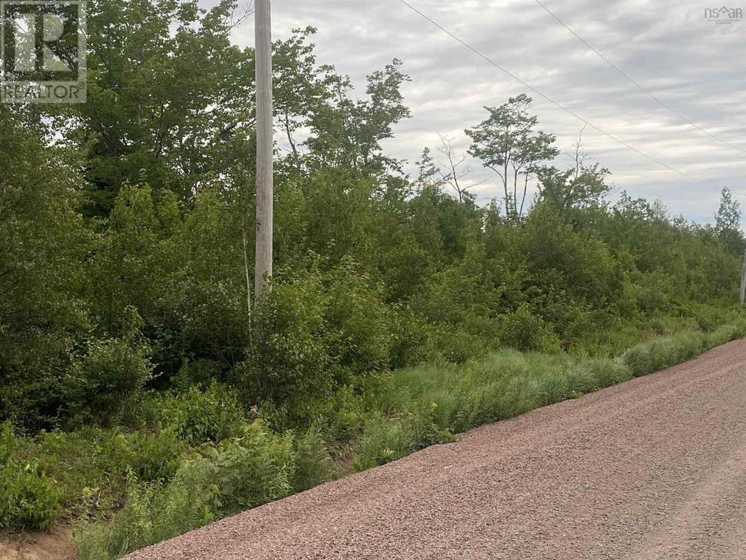 LOT 8 COLLEGE GRANT ROAD
