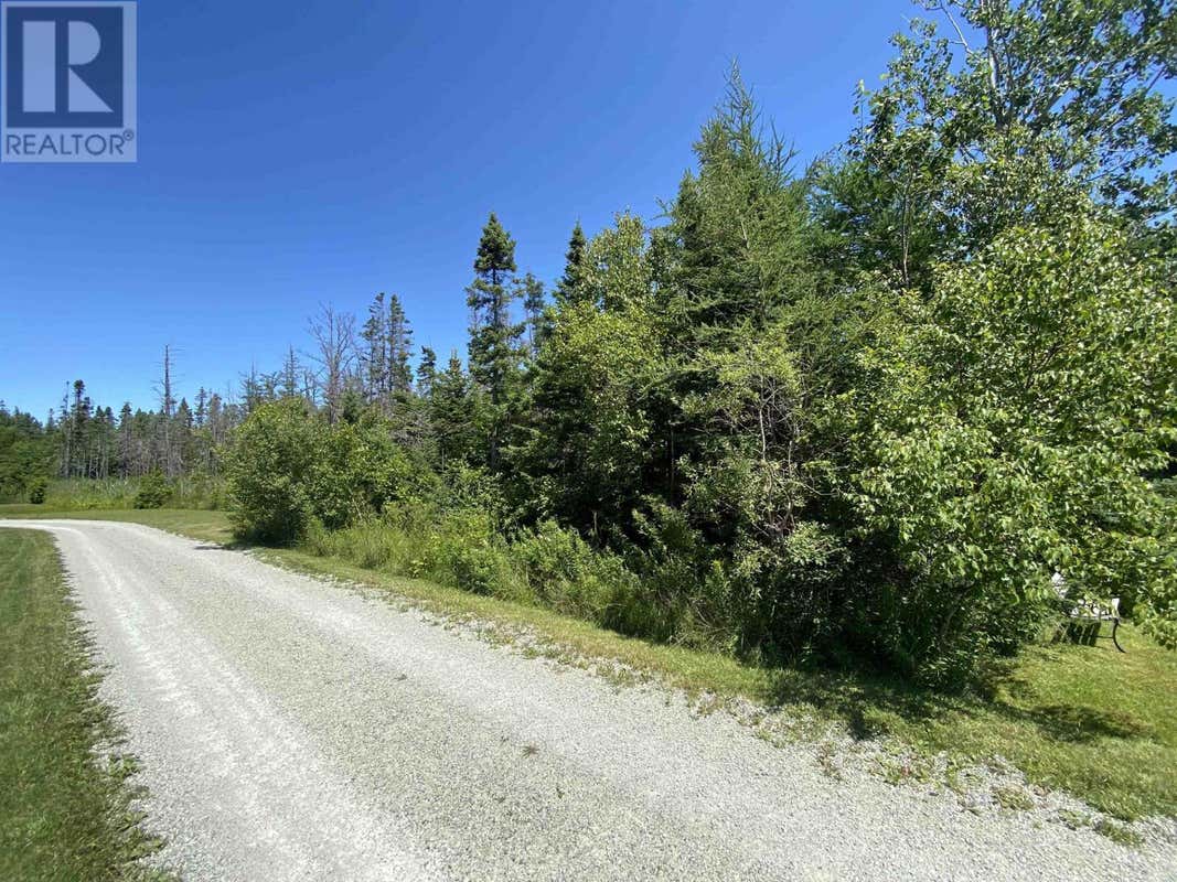 Lot River Denys Road, Judique, NS B0E1P0 Land For Sale RE/MAX 202421460