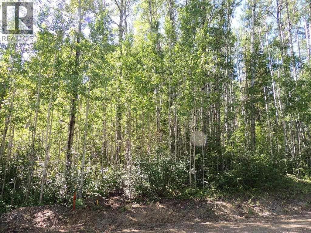 LOT #11 WAPITI RIVER SW-21-69-10-W6