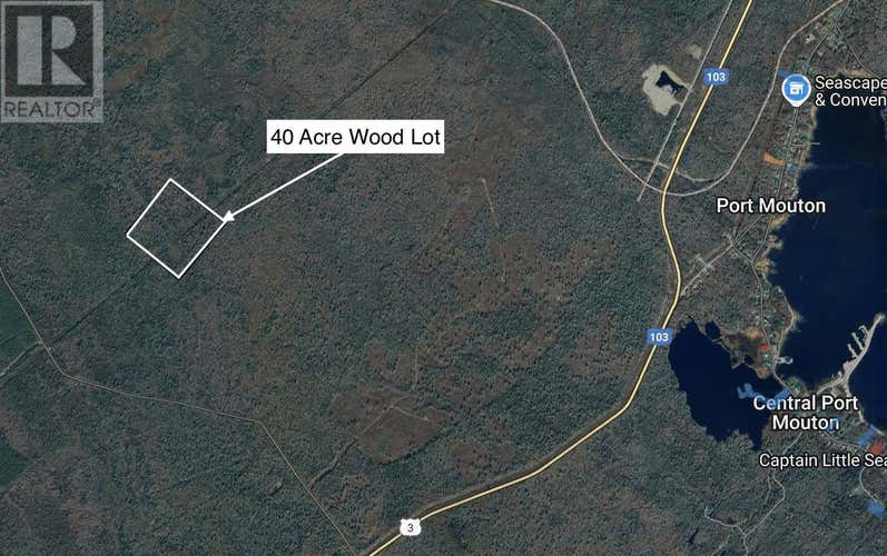 40 Acres PID#70061791 Highway 103