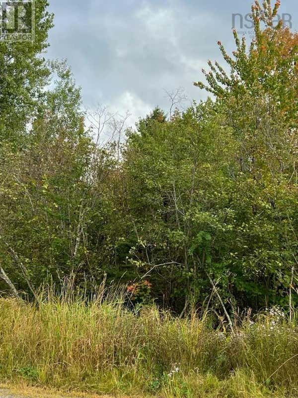 LOT Baxters Harbour Road, Glenmont, NS B0P1H0 Land For Sale RE/MAX 202423544
