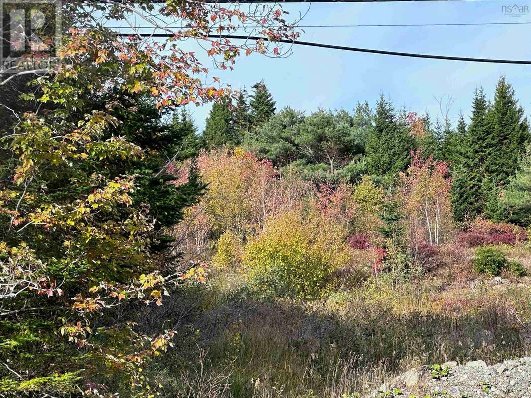 9291 Highway 7, Head Of Jeddore, NS B0J1P0 Land For Sale RE/MAX