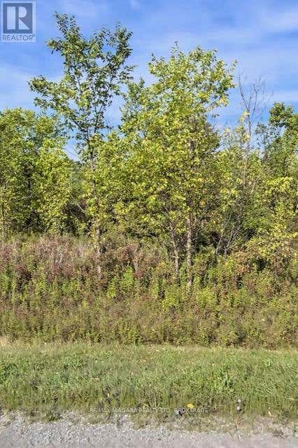 LOT 4 MONTROSE ROAD