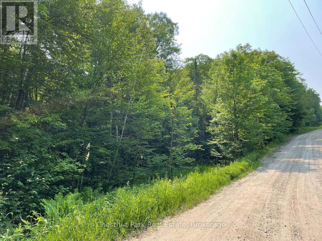 0 COLEMAN LAKE ROAD