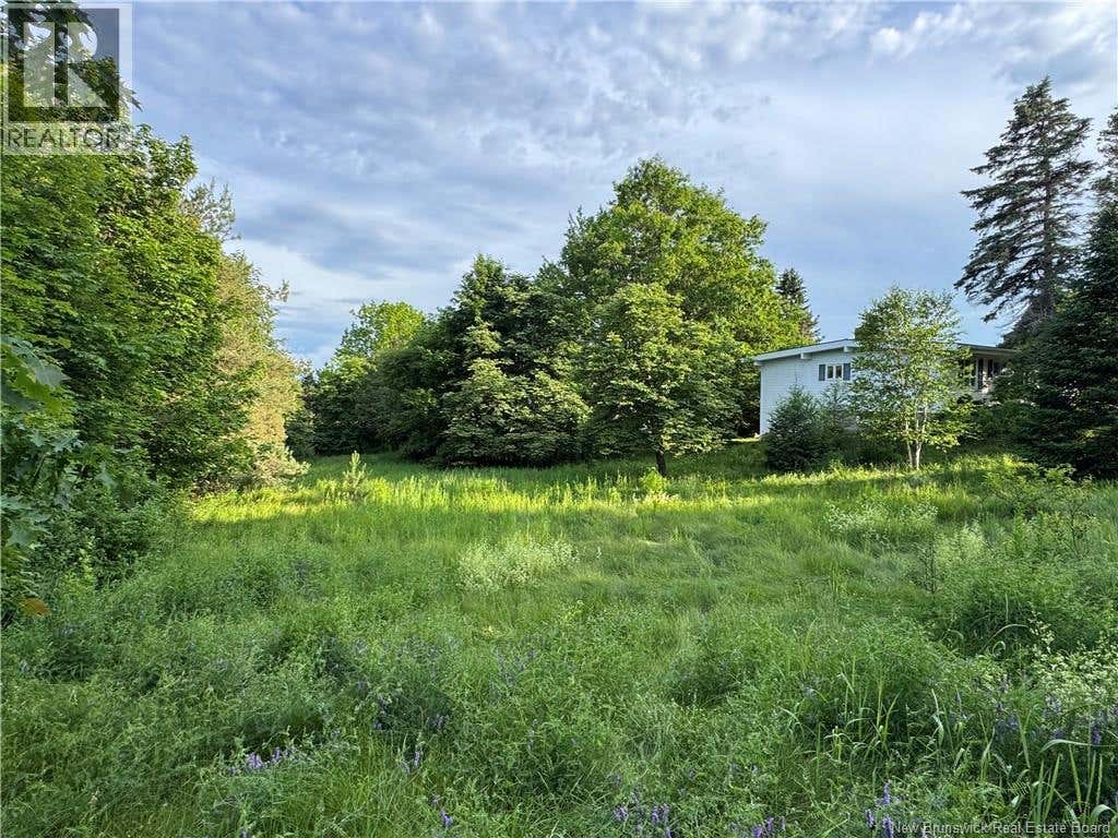 LOT HARRIS DRIVE