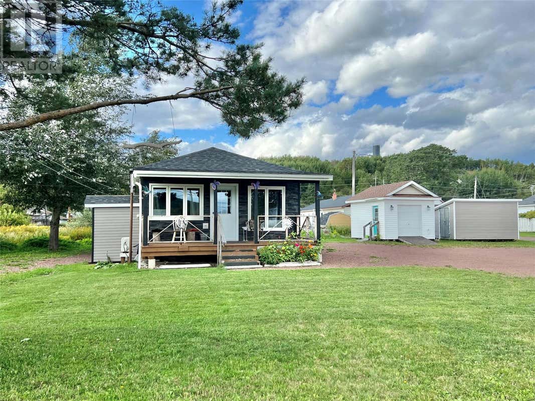 2 Doves Lane, FALLS, NL A0H1C0 À vendre RE/MAX 1277306