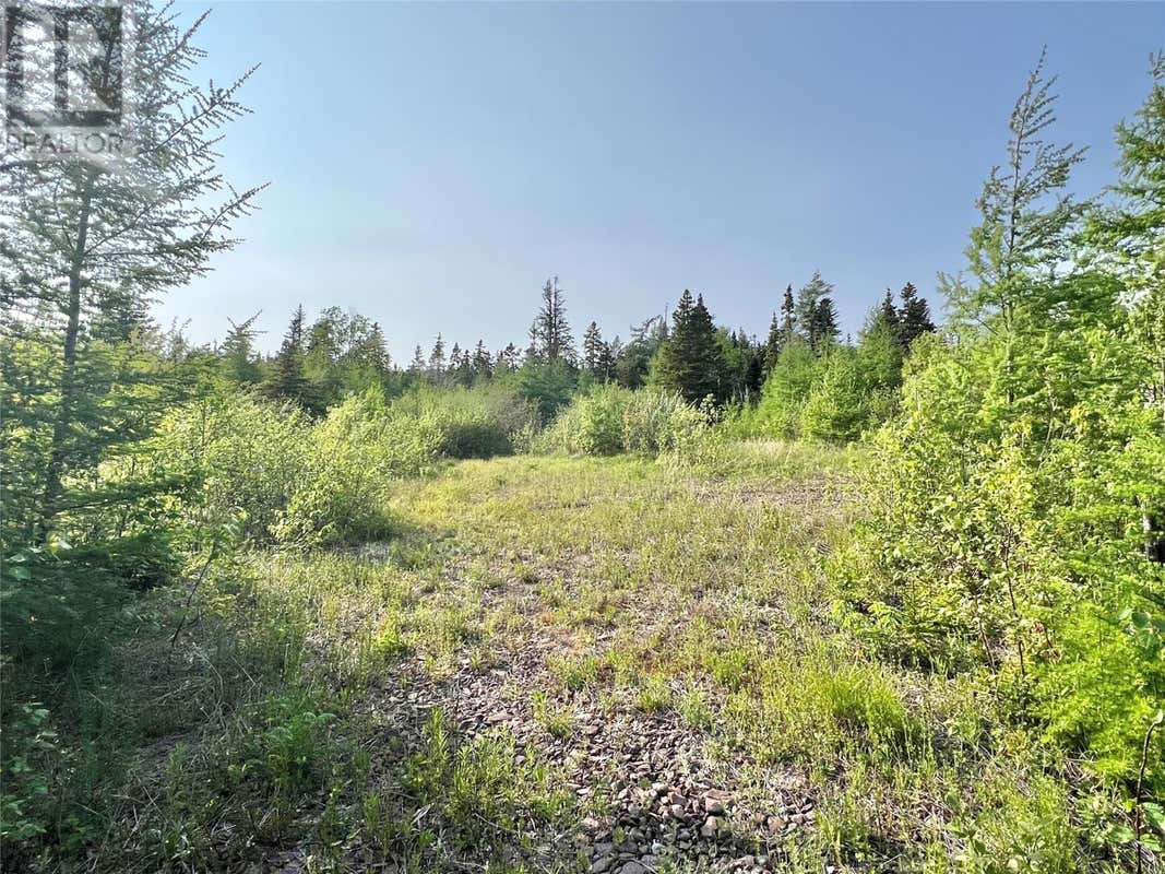 437 MAIN STREET