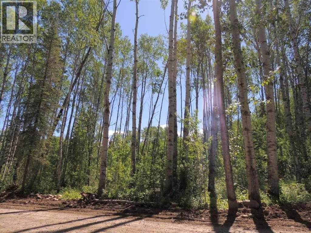 LOT #36 WAPITI RIVER SW-21-69-10-W6
