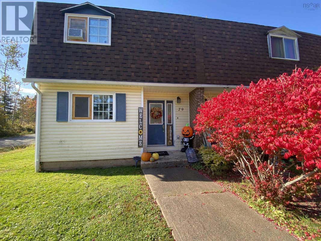 79 Veterans Drive, Pictou, NS B0K1H0 House For Sale RE/MAX 202425260