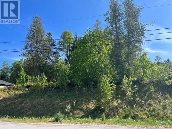 Robert Ross Boulevard