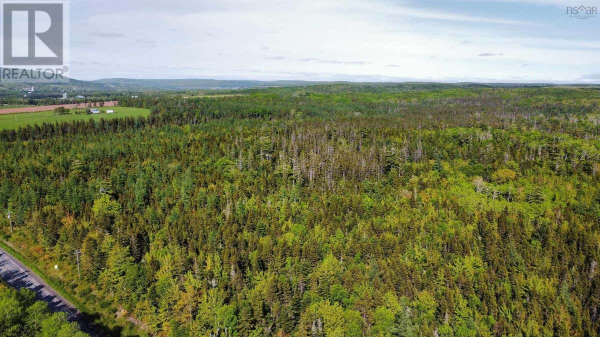 LOT 12 HIGHWAY 19