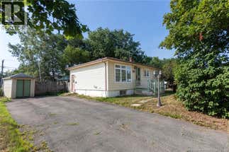 263 Whitepine