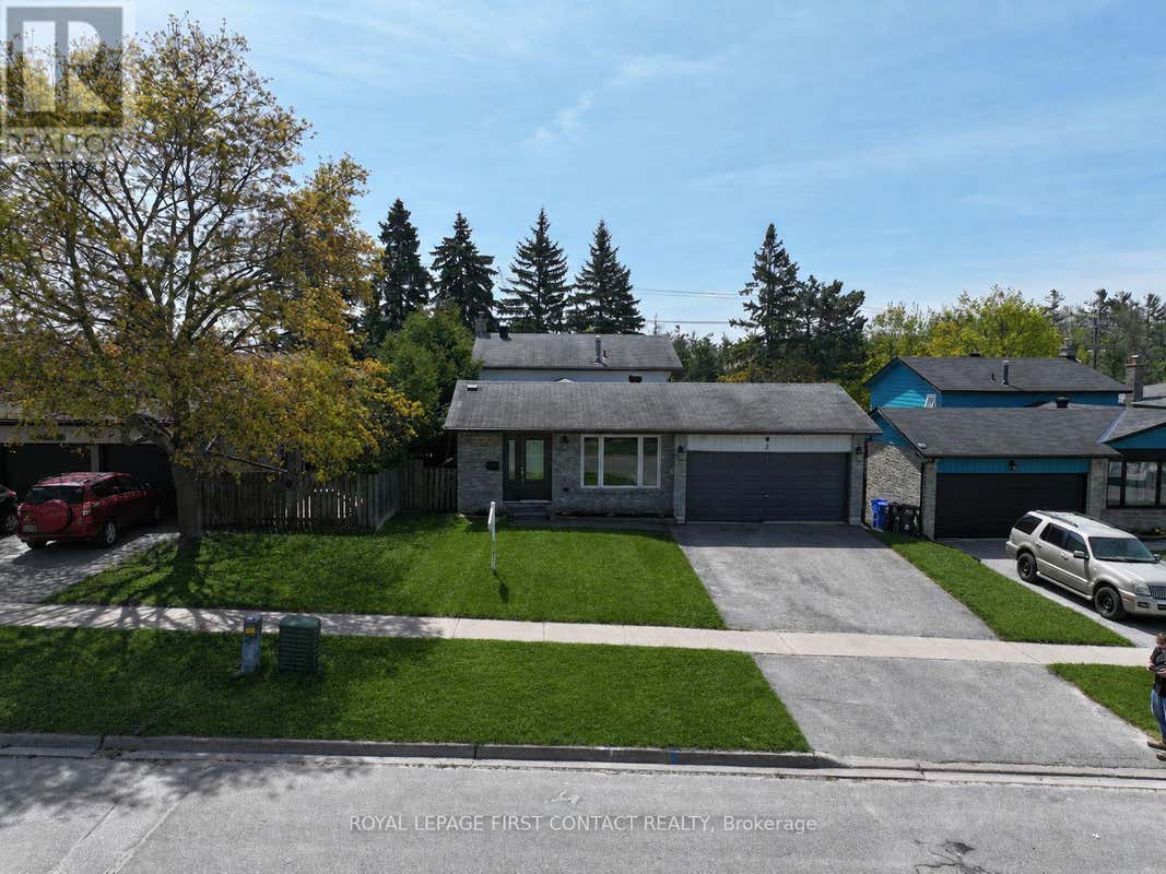 3 OREN BOULEVARD