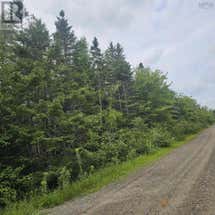 - Alder Road