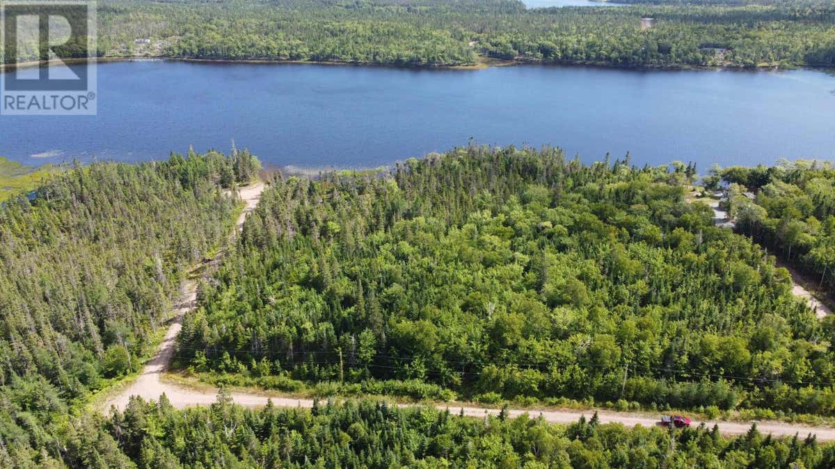 LOT 9 TROUT LAKE DRIVE