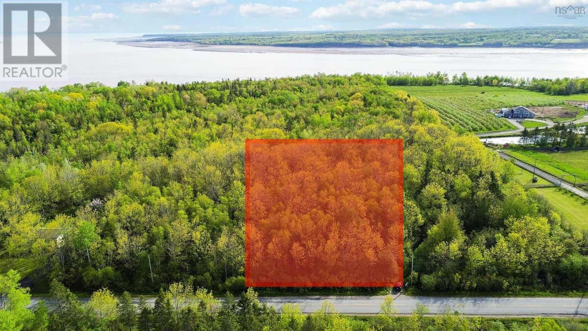 LOT 11 BLUFF ROAD