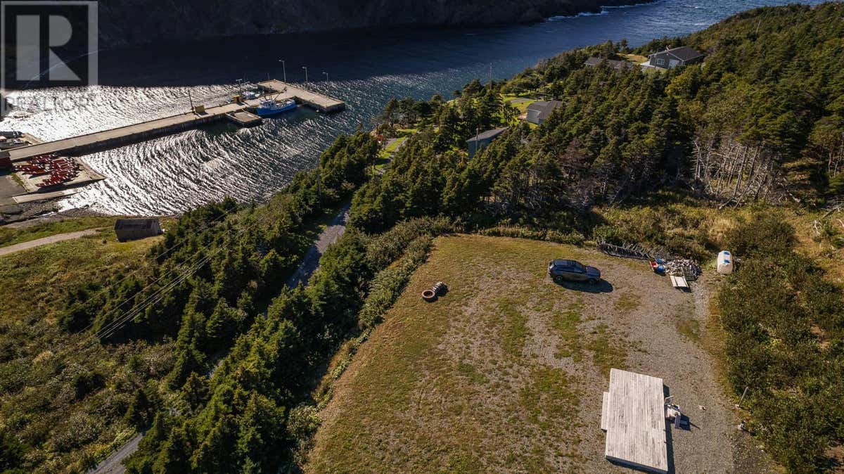 240 A Little Port Road, Lark Harbour, NL A0L1H0 Land For Sale RE/MAX