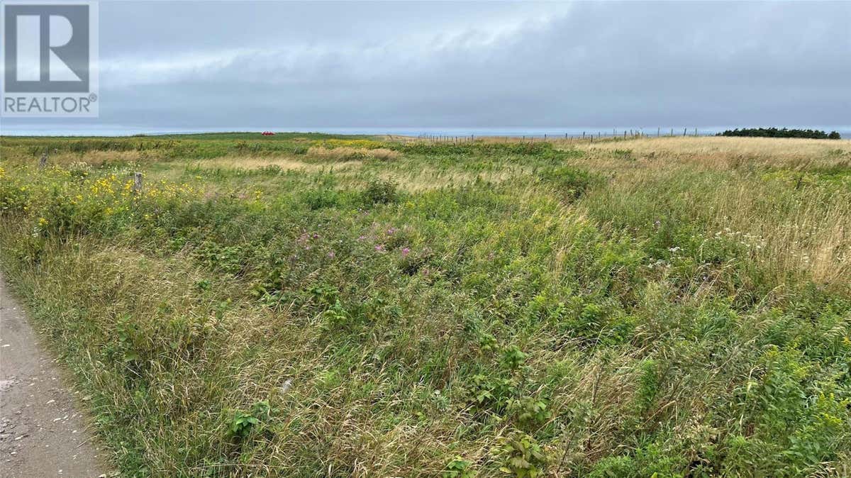 0 Main Road, McKays, NL A0N1Z0 Land For Sale RE/MAX 1277132