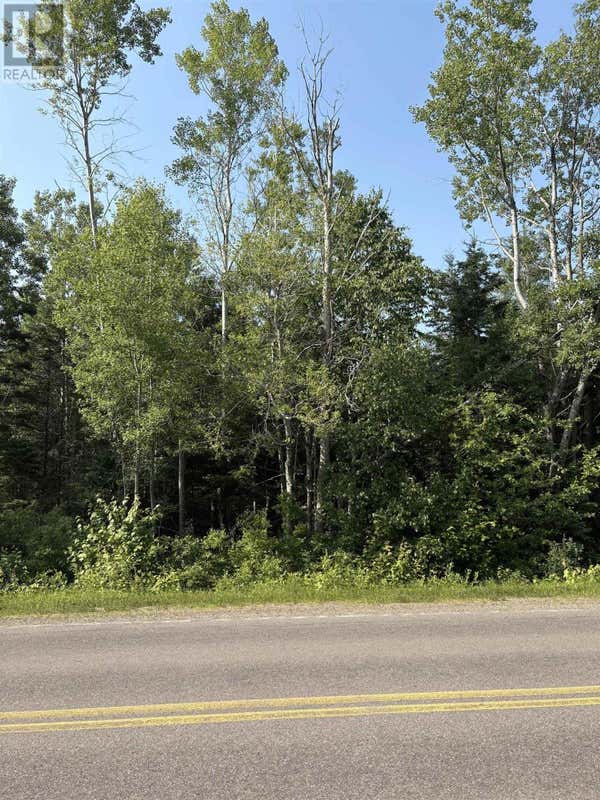 CAPE BEAR ROAD