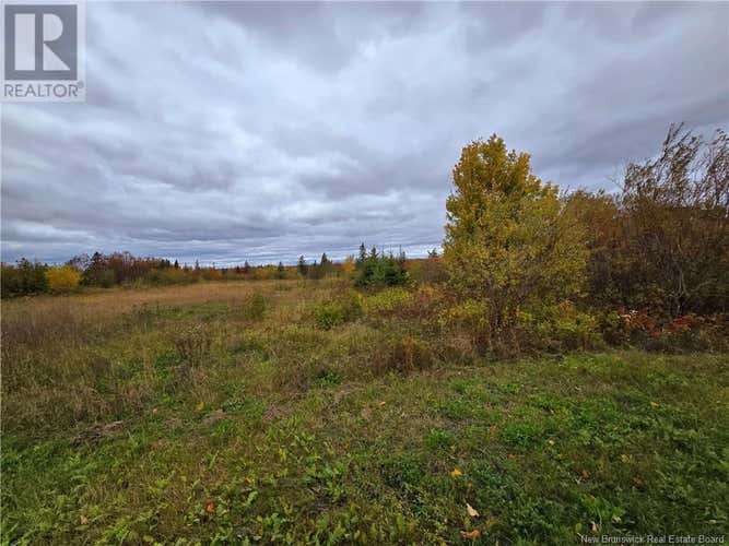 8782sm Blvd des Acadiens Boulevard