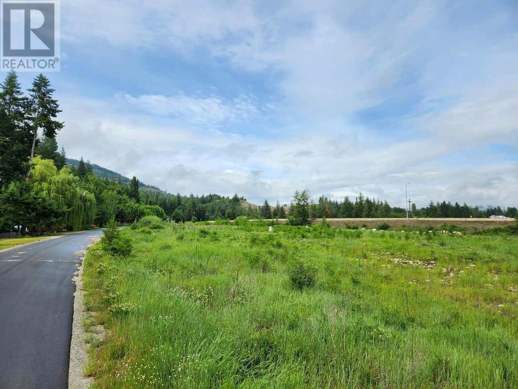 Block 16 HIGHWAY 22, Castlegar, BC V0G1G0 Land For Sale RE/MAX 2479141