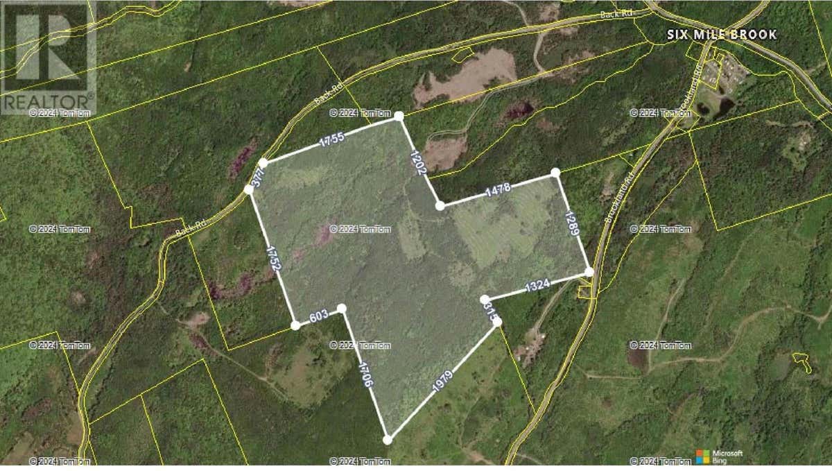 Lot Back Road, Six Mile Brook, NS B0K1R0 Land For Sale RE/MAX 202424980