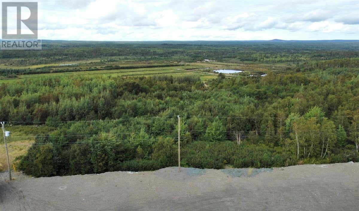 45 McCarthy Street, Grand FallsWindsor, NL A2B0A6 Land For Sale RE