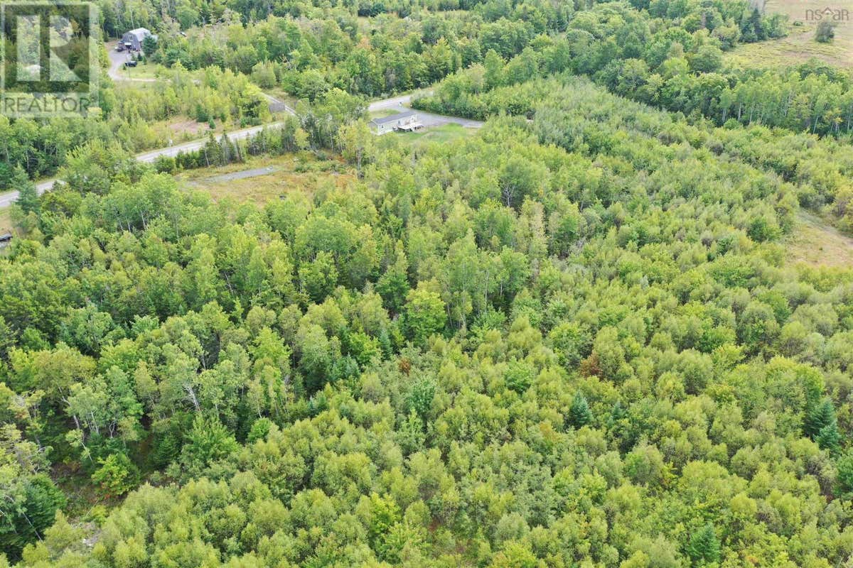 LOT 19 ACRES+- WALLACE ROAD