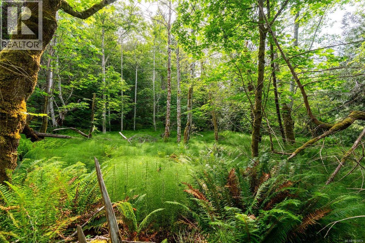 LOT 3 - 384 SEASPRAY DR
